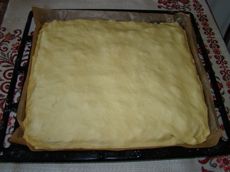 Placinta