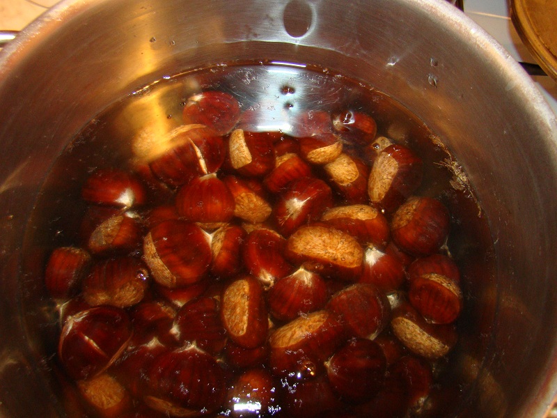 Castane in apa