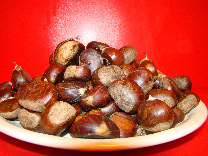 Castane fierte