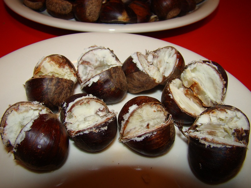 Castane