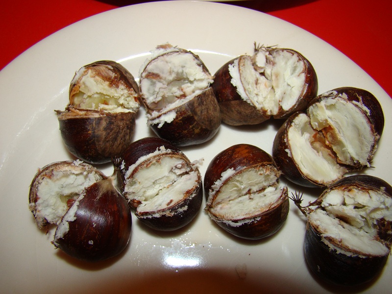 Castane