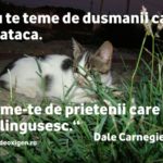 De tinut minte…