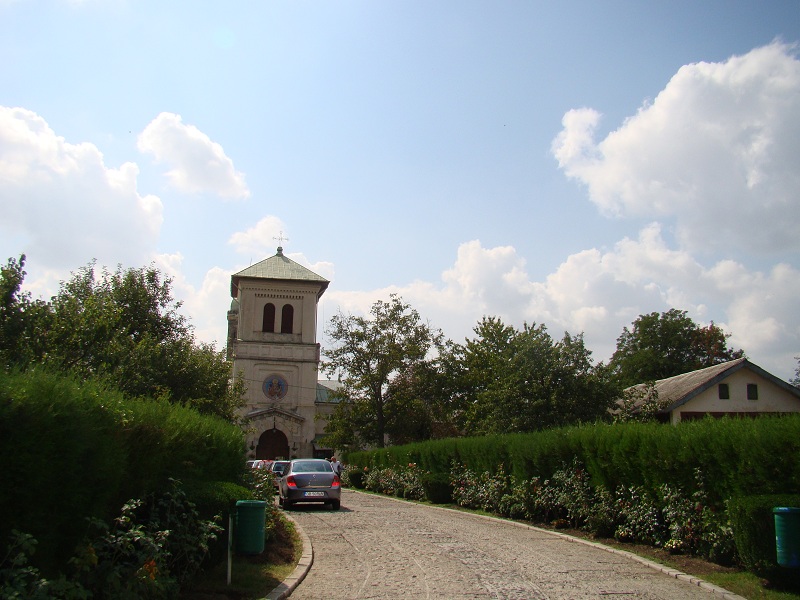 Intrare Manastirea Dealu