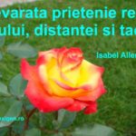 Totdeauna…
