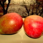 De ce e mango unul dintre cele mai bune fructe din lume