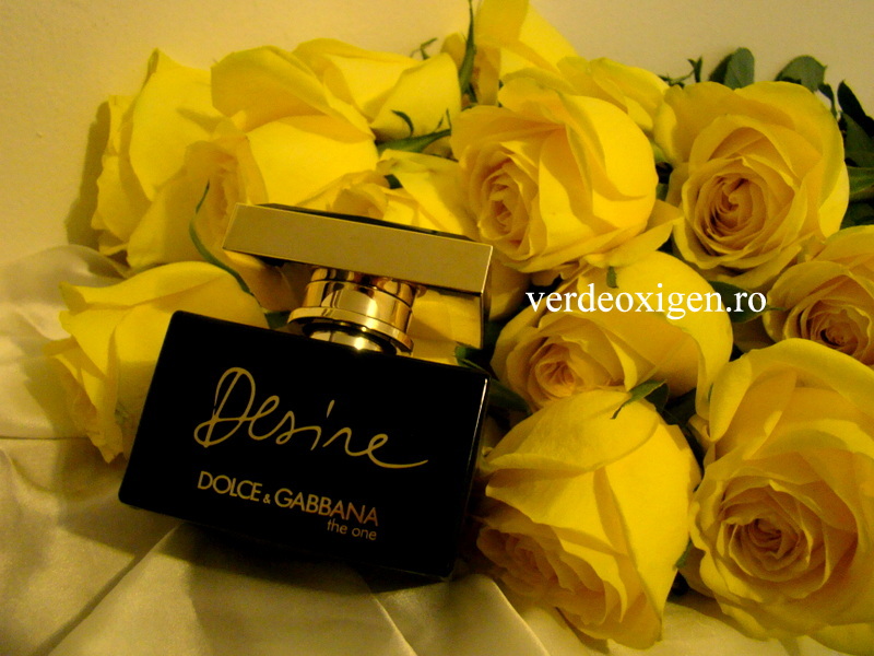 Dolce&Gabbana