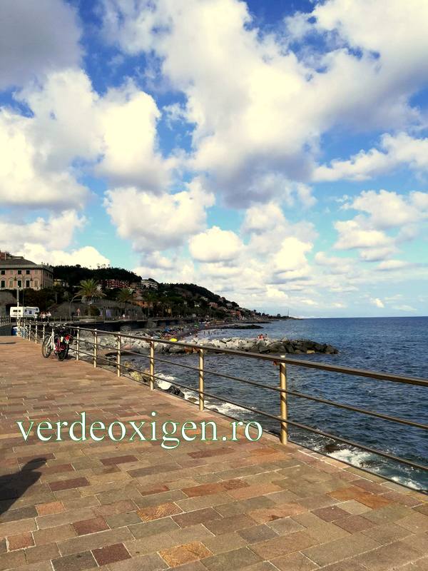 Cogoleto. Genova