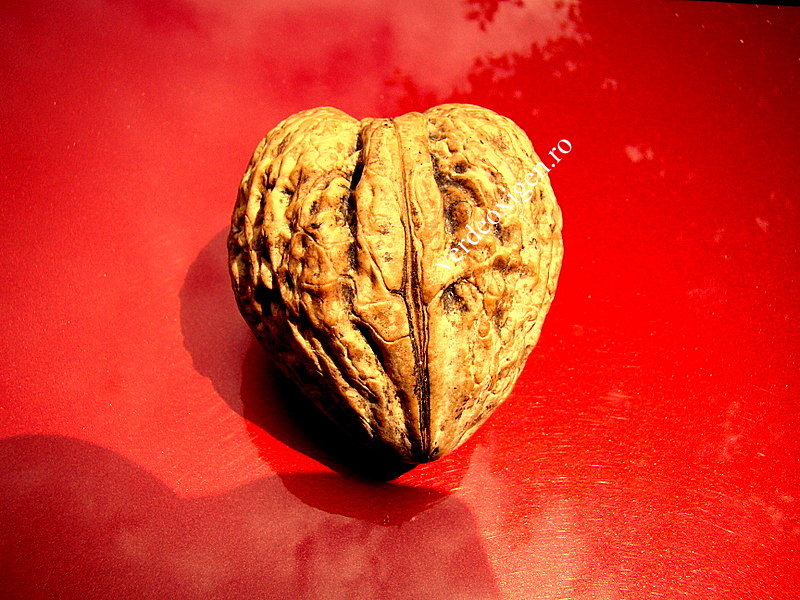 nuca inimioara