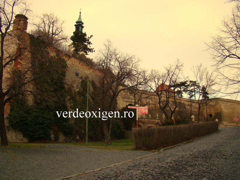 Zidurile castelului Nitra
