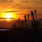 Magie și pozne: Veverițele Demi și Deea în tărâmul fermecat din Câmpul Mare